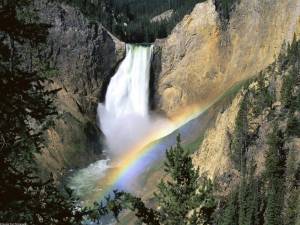 Falls cascading in Yellowstone National Park